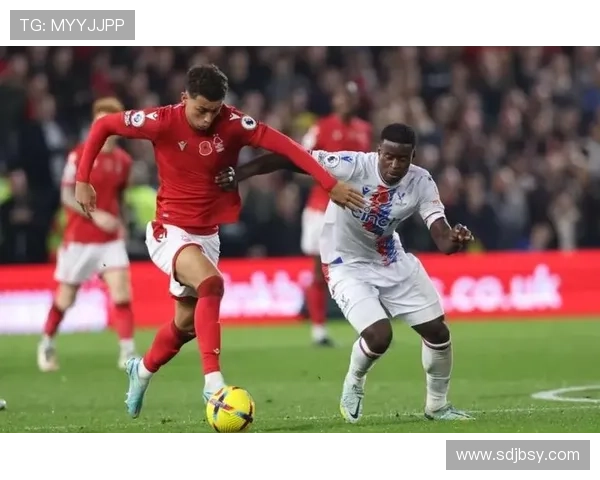 英超大结局剧情